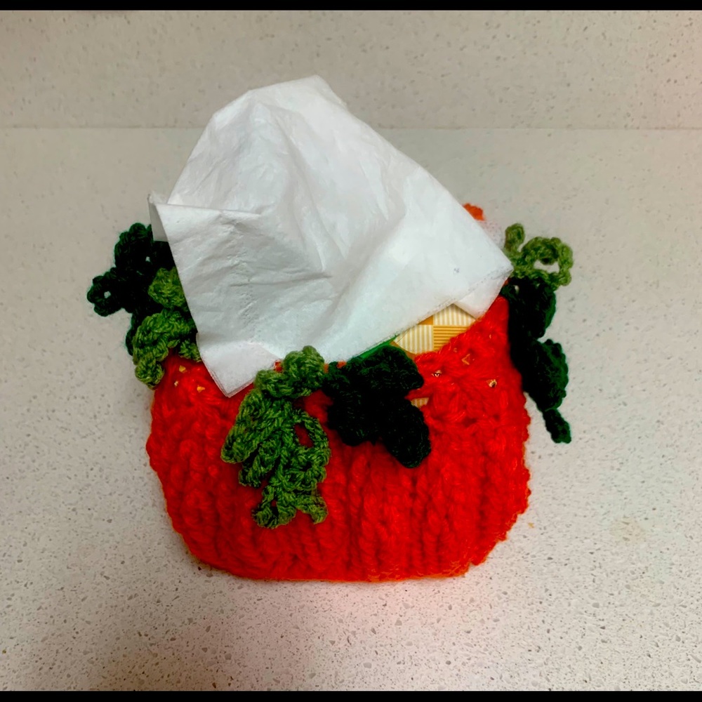 Pumpkin Fall Tissue Box Cover Cozy New Handmade Crochet